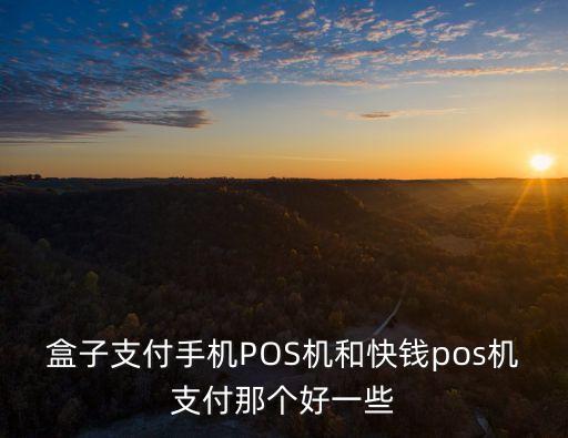 盒子支付手機(jī)POS機(jī)和快錢pos機(jī)支付那個(gè)好一些