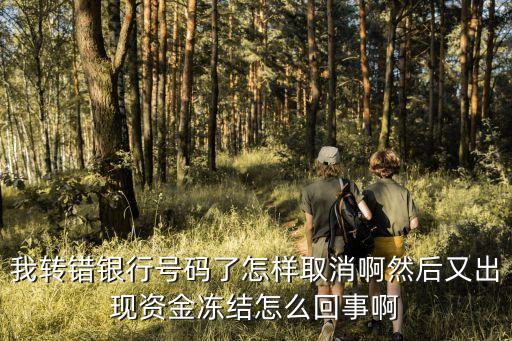 換銀行卡號(hào)錢怎么取消嗎，銀行卡換卡了怎么住消