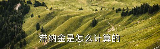 還款逾期滯納金怎么算的，滯納金的計算公式