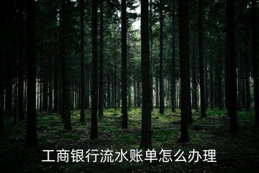工商銀行流水賬單怎么辦理