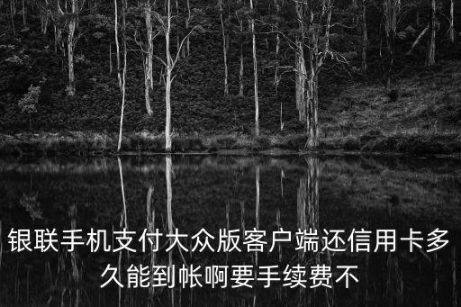 銀聯(lián)手機支付大眾版客戶端還信用卡多久能到帳啊要手續(xù)費不