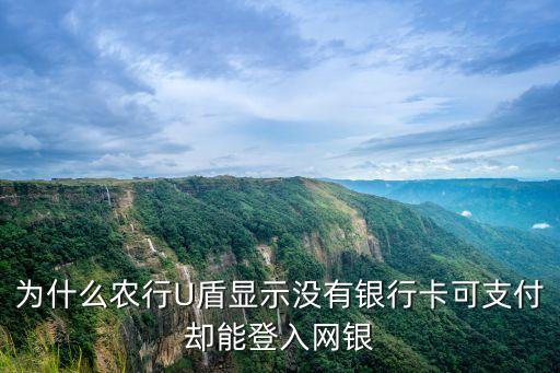 農(nóng)行優(yōu)盾插入了怎么還提示未插卡，為什么農(nóng)行U盾顯示沒有銀行卡可支付卻能登入網(wǎng)銀