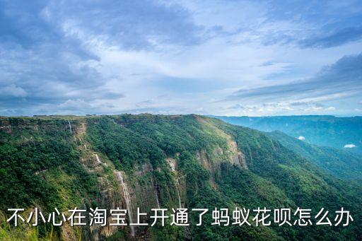 螞蟻花備開通了怎么辦，不小心開通了螞蟻花唄怎么辦會(huì)不會(huì)扣利息