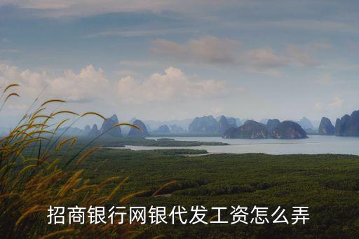 招行u盾代發(fā)工資怎么用，公司網(wǎng)銀的代發(fā)工資項不會使用求助