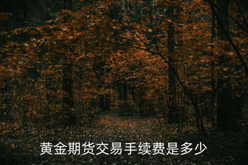 黃金期貨交易手續(xù)費(fèi)是多少