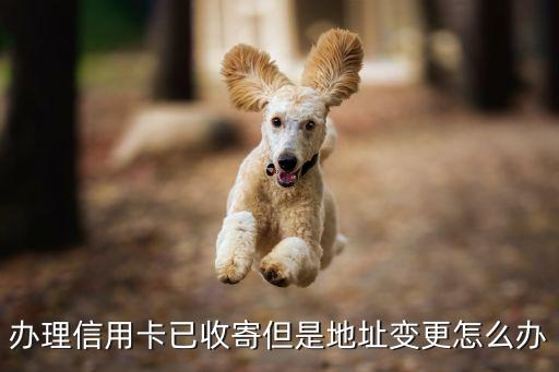 信用卡地址變更了怎么辦，辦理信用卡地址出現(xiàn)變更