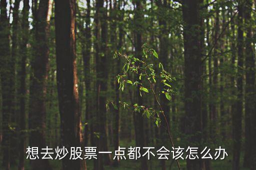 想去炒股票一點(diǎn)都不會(huì)該怎么辦