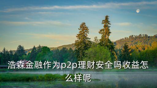 東莞市浩森時貸怎么樣，浩森金融與浩森時貸是什么關(guān)系啊兩者都很安全嗎