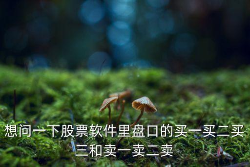 股票軟件買一 怎么看，股票軟件怎么顯示賣一和買一