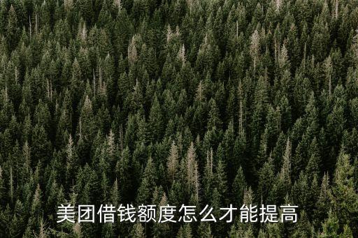 美團(tuán)怎么貸款，你好我是美團(tuán)外賣商家想貸款一萬需要什么證明謝謝