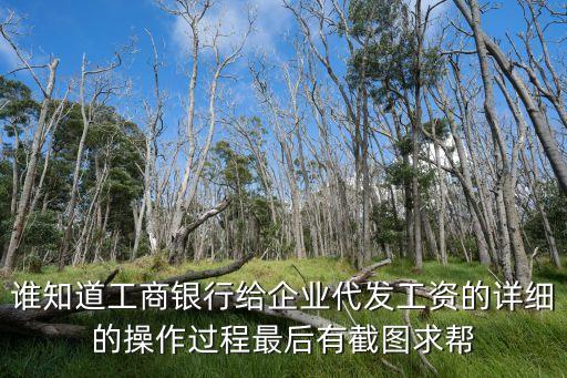 誰(shuí)知道工商銀行給企業(yè)代發(fā)工資的詳細(xì)的操作過程最后有截圖求幫