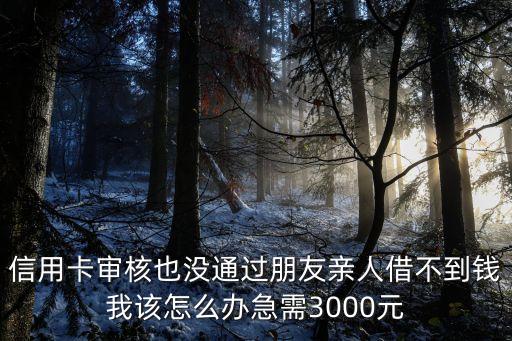 零用貸怎么借款不了，信用卡審核也沒通過朋友親人借不到錢我該怎么辦急需3000元