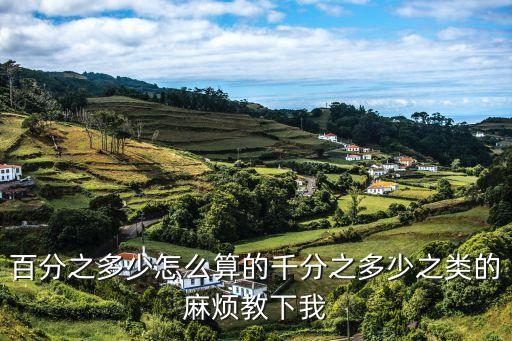 百分之多少怎么算的千分之多少之類的麻煩教下我