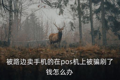 被路邊賣手機的在pos機上被騙刷了錢怎么辦