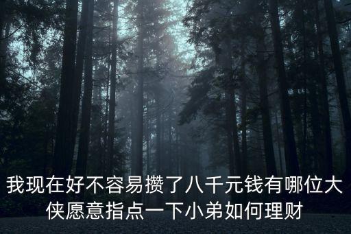 八千塊怎么理財，我現(xiàn)在好不容易攢了八千元錢有哪位大俠愿意指點一下小弟如何理財