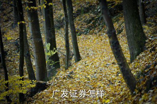 廣發(fā)證券怎樣