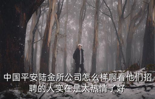 中國(guó)平安陸金所公司怎么樣啊看他們招聘的人實(shí)在是太熱情了好