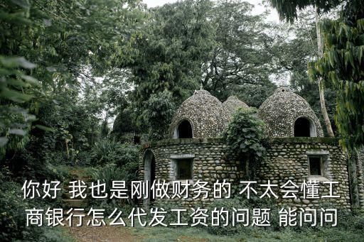 你好 我也是剛做財(cái)務(wù)的 不太會(huì)懂工商銀行怎么代發(fā)工資的問題 能問問