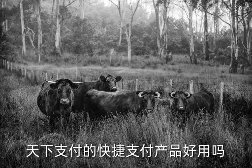 融匯天下支付怎么樣，天下支付的快捷支付產(chǎn)品好用嗎