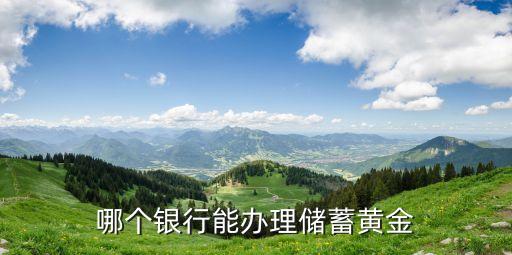 個(gè)人想儲(chǔ)備黃金怎么辦理，請(qǐng)問(wèn)怎樣購(gòu)買黃金進(jìn)行儲(chǔ)存銀行能辦理嗎什么銀行