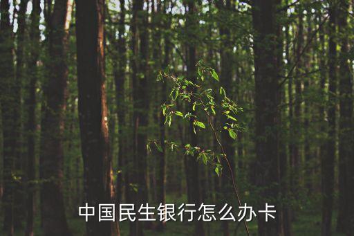 中國民生銀行怎么辦卡