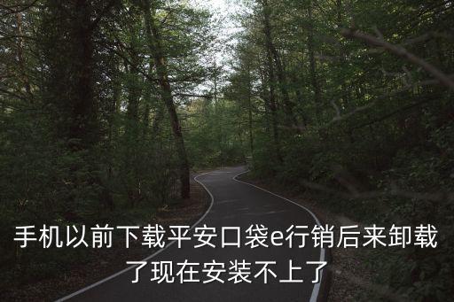 平安e行銷關閉了會怎么樣，平安口袋e行銷鎖了怎么辦