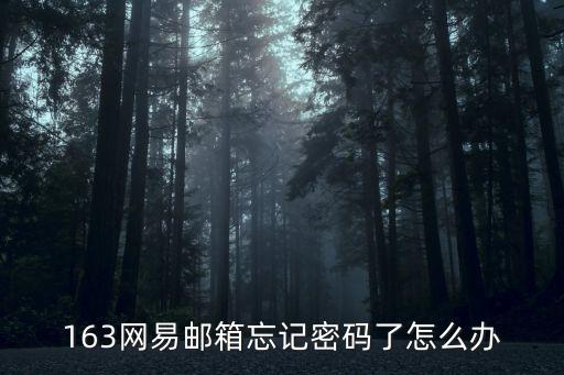 163網(wǎng)易郵箱忘記密碼了怎么辦