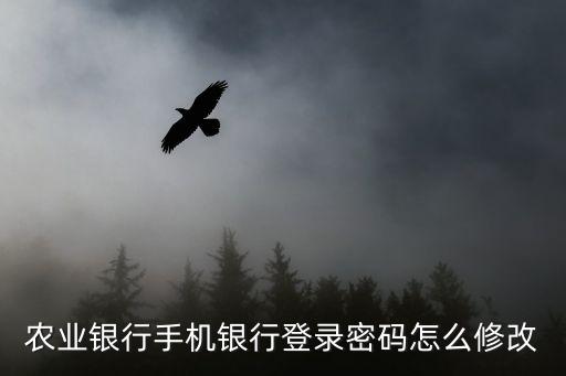 農(nóng)行掌上銀行默認密碼怎么修改，農(nóng)行掌上銀行怎樣修改密碼