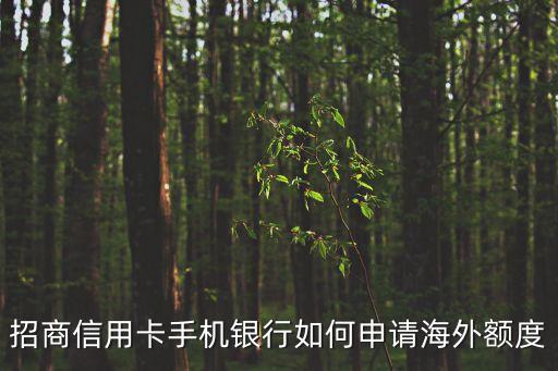 招商信用卡手機銀行如何申請海外額度