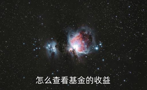 怎么查看基金的收益