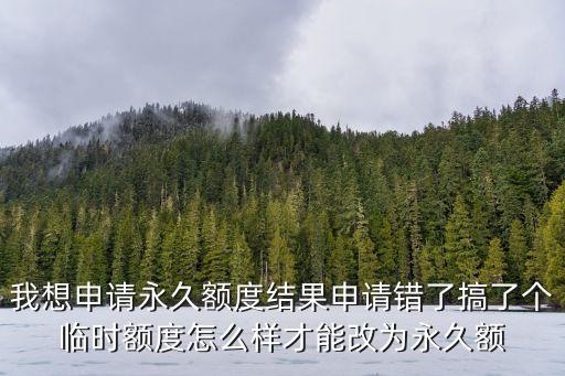 短信填錯(cuò)了臨時(shí)額度怎么辦，我想申請(qǐng)永久額度結(jié)果申請(qǐng)錯(cuò)了搞了個(gè)臨時(shí)額度怎么樣才能改為永久額