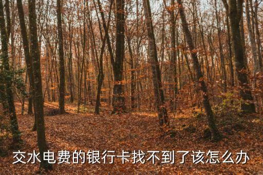 電費(fèi)卡找不到了怎么辦，電費(fèi)卡遺失怎么補(bǔ)辦