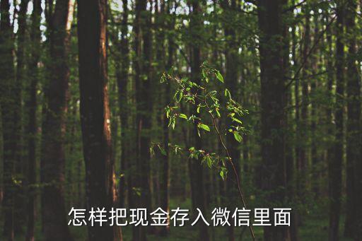 怎樣把現(xiàn)金存入微信里面