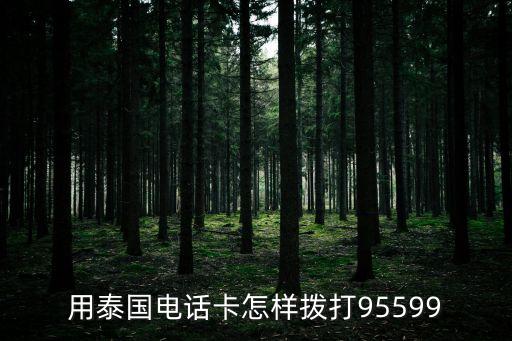 在泰國怎么打興業(yè)銀行電話，用泰國電話卡怎樣撥打95599