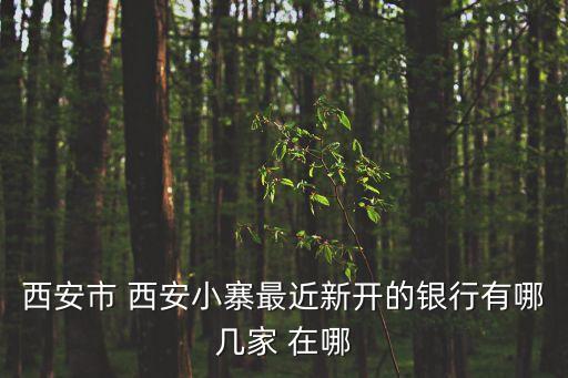 中行西安南郊小寨營業(yè)點怎么去，西安市 西安小寨最近新開的銀行有哪幾家 在哪