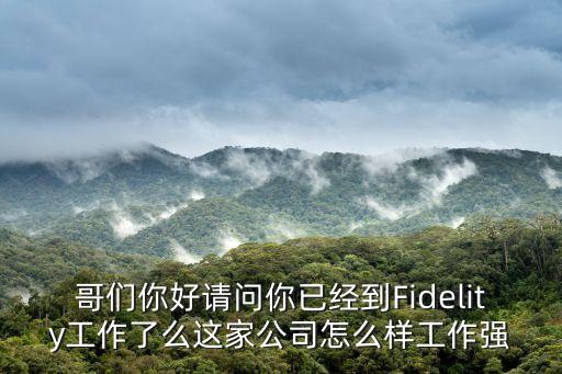 哥們你好請(qǐng)問你已經(jīng)到Fidelity工作了么這家公司怎么樣工作強(qiáng)
