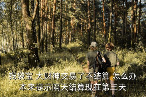 錢袋寶 大財(cái)神交易了不結(jié)算 怎么辦本來(lái)提示隔天結(jié)算現(xiàn)在第三天