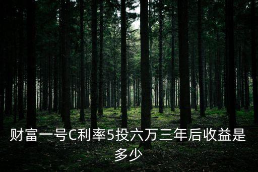 和諧附加財(cái)富一號怎么樣，財(cái)富一號C利率5投六萬三年后收益是多少