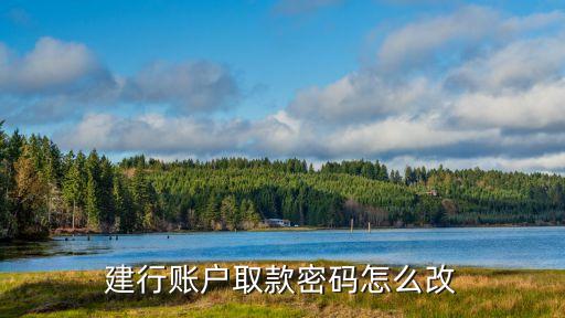 中國(guó)建設(shè)銀行怎么更改取款密碼，建設(shè)銀行取現(xiàn)密碼怎么改
