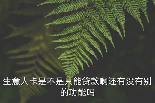 生意人卡怎么還款，生意人卡是不是只能貸款啊還有沒有別的功能嗎