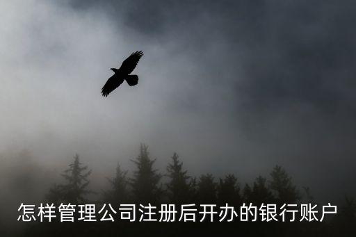 兩個(gè)人開公司 銀行卡怎么管理，合伙企業(yè)資金賬戶如何注冊(cè)與管理