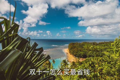 雙十一怎么省錢，雙十一怎么買東西便宜啊我怎么覺得沒比平時(shí)便宜呢要參加什么活