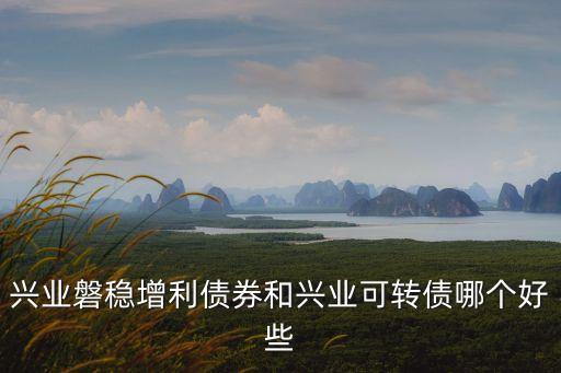 興業(yè)磐穩(wěn)增利債券和興業(yè)可轉(zhuǎn)債哪個(gè)好些