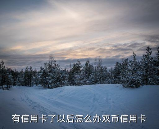 雙幣信用卡怎么辦，怎么樣辦理雙幣信用卡