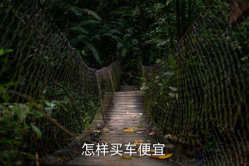 買車怎么便宜很多，怎樣買車便宜