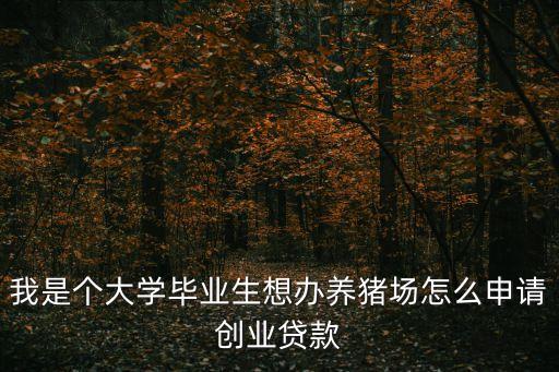 我是個大學畢業(yè)生想辦養(yǎng)豬場怎么申請創(chuàng)業(yè)貸款