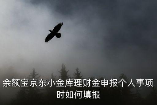 余額寶京東小金庫理財金申報個人事項時如何填報