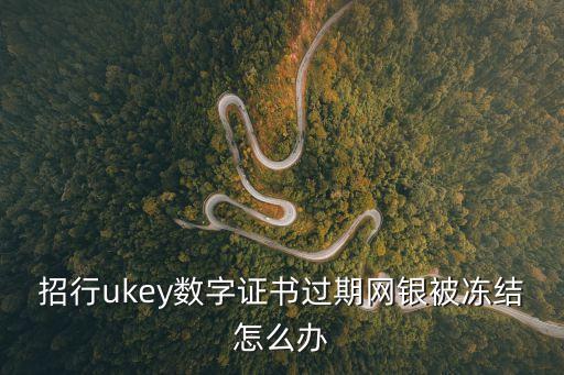 招行u盾過期了怎么辦，招行ukey數(shù)字證書過期網(wǎng)銀被凍結(jié)怎么辦