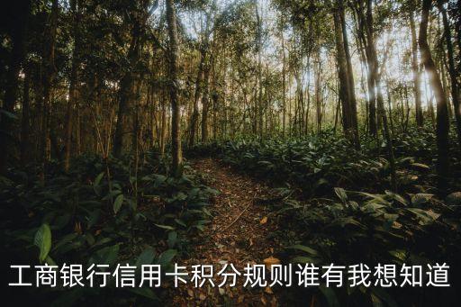 工商海航聯(lián)名卡怎么積分，工商銀行信用卡積分規(guī)則誰(shuí)有我想知道