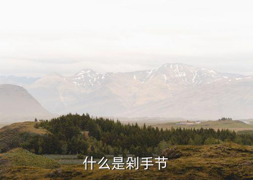 什么是剁手節(jié)